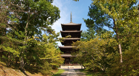 京都旅行情報 世界遺産