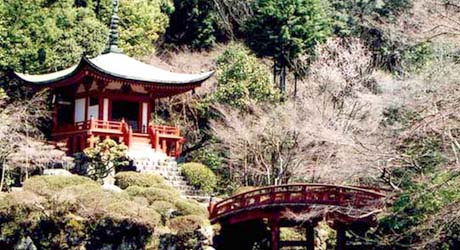 京都旅行情報 醍醐寺