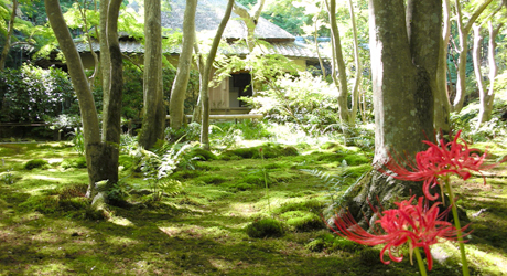 京都観光 祇王寺