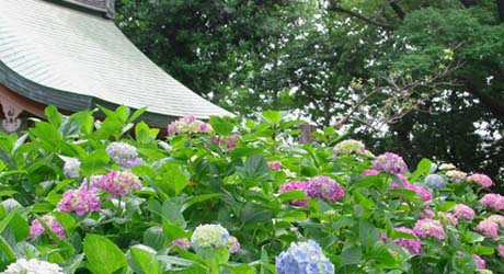 花の名所