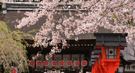 平野神社