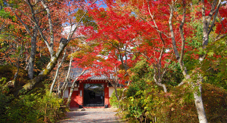 京都旅行情報 宿坊
