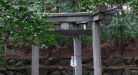 京都三珍鳥居