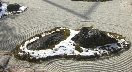 妙蓮寺