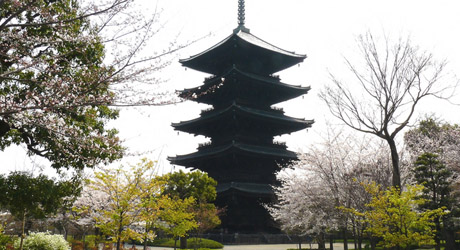 京都人気