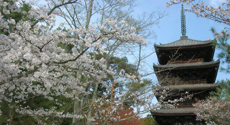 京都の寺社観光情報 古都ナビ