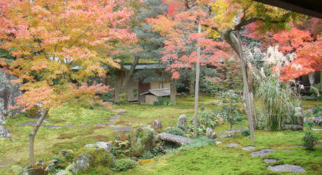黄梅院