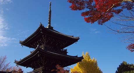 京都旅行情報 真如堂