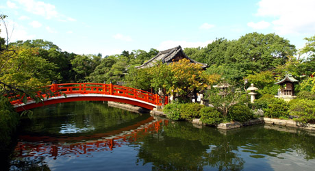 京都旅行情報 神泉苑