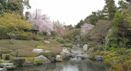 退蔵院