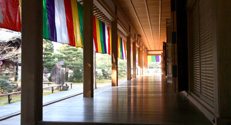 京都旅行情報智積院