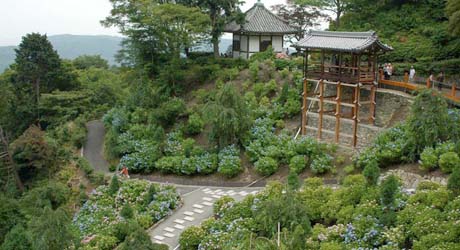 京都旅行情報 善峯寺