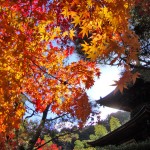 常寂光寺