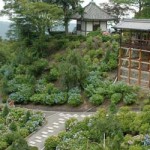 善峯寺