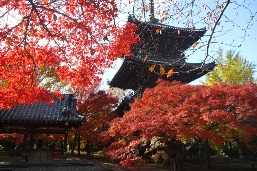 真正極楽寺(真如堂) | 京都観光 お寺と神社専門情報 古都ナビ